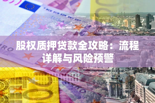 武汉股权质押贷款全攻略：流程详解与风险预警