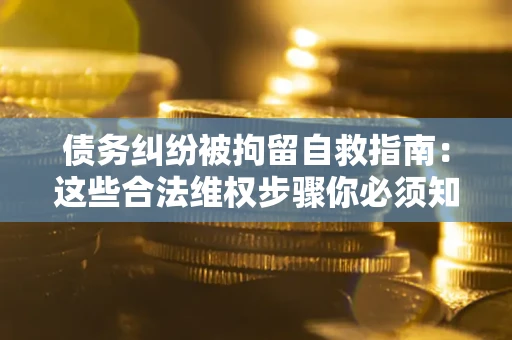 武汉债务纠纷被拘留自救指南：这些合法维权步骤你必须知道！