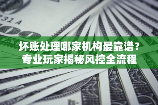 武汉坏账处理哪家机构最靠谱？专业玩家揭秘风控全流程