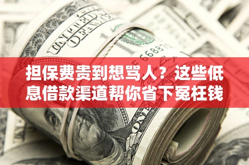 武汉担保费贵到想骂人？这些低息借款渠道帮你省下冤枉钱