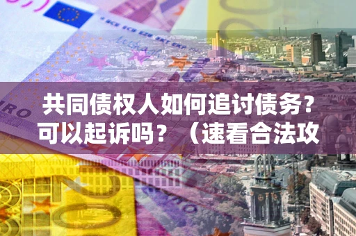 武汉共同债权人如何追讨债务？可以起诉吗？（速看合法攻略）