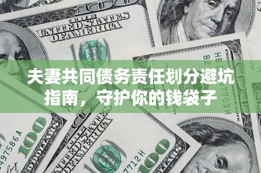 武汉夫妻共同债务责任划分避坑指南，守护你的钱袋子