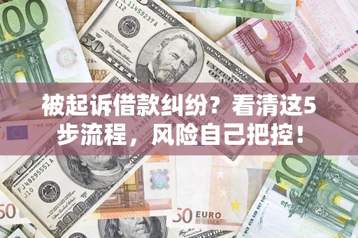 武汉被起诉借款纠纷？看清这5步流程，风险自己把控！