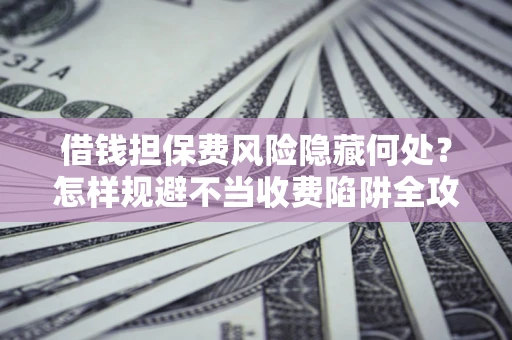 武汉借钱担保费风险隐藏何处？怎样规避不当收费陷阱全攻略！