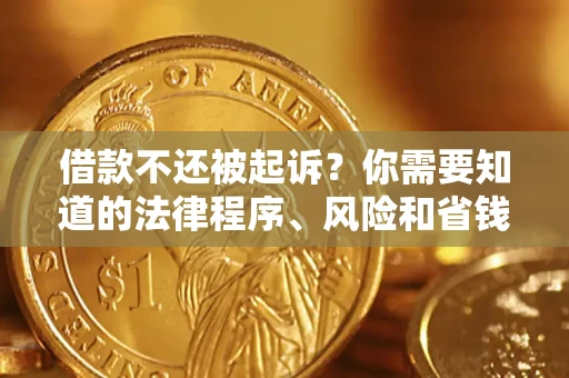 武汉借款不还被起诉？你需要知道的法律程序、风险和省钱技巧