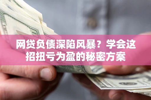 武汉网贷负债深陷风暴？学会这招扭亏为盈的秘密方案